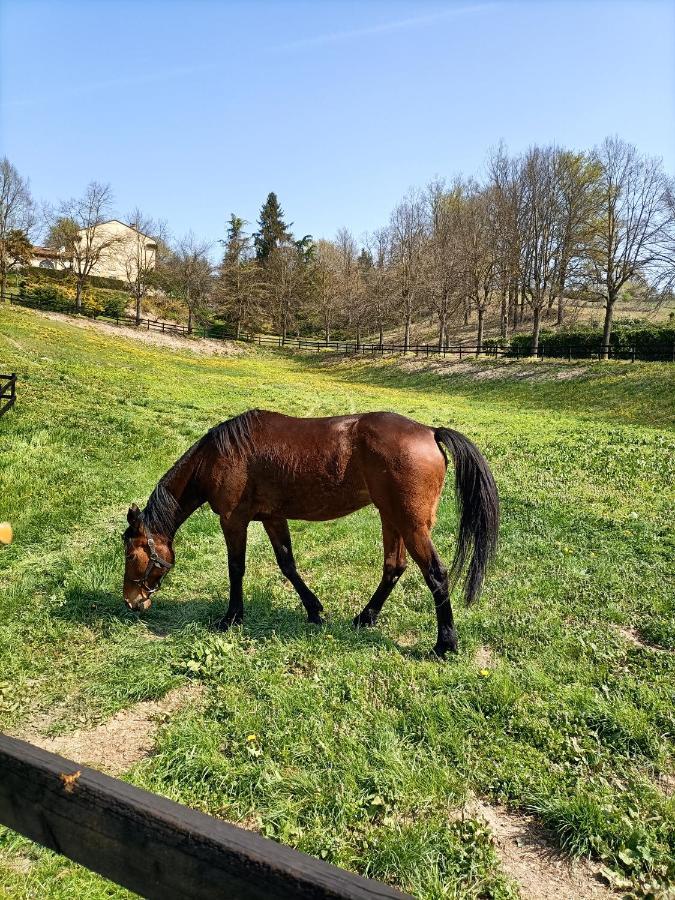 La Regibussa - Hotel Ristorante Asti Eksteriør billede